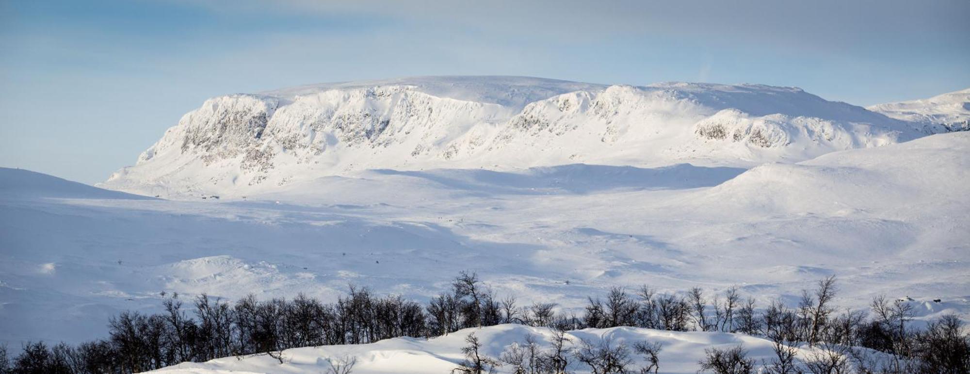 Geilo-Kikut, Ski-In, Ski-Out With Stunning Trails And Perfect Location المظهر الخارجي الصورة